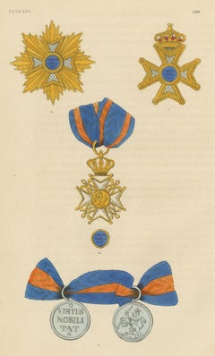 Ordini dei Paesi Bassi, Ordine del Leone dei Paesi Bassi, Tavola LIII, 1844