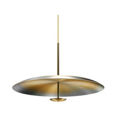 Organic Modern Mounted Objects