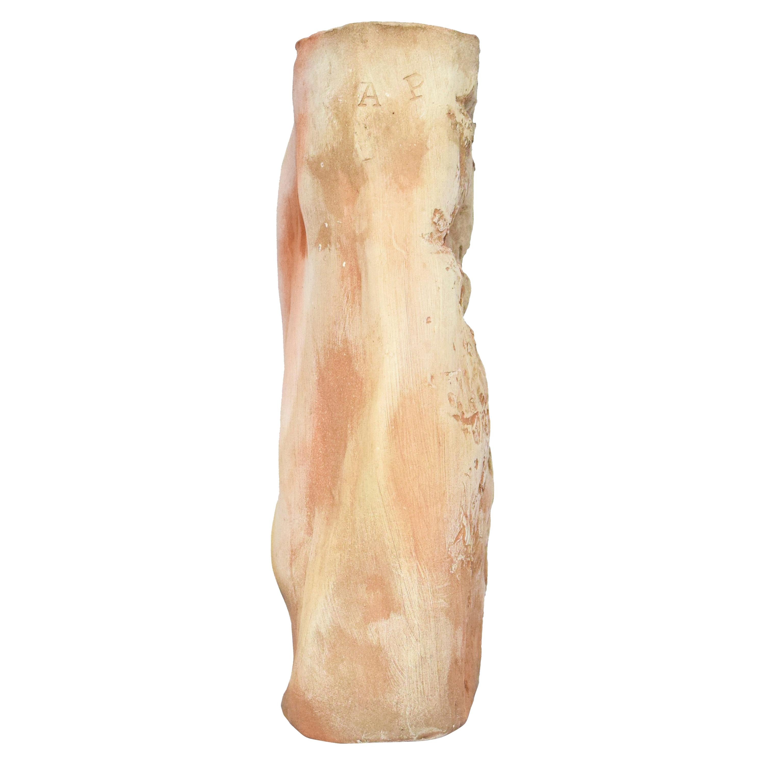 Orgametria, Vaso organico unico, Aurore