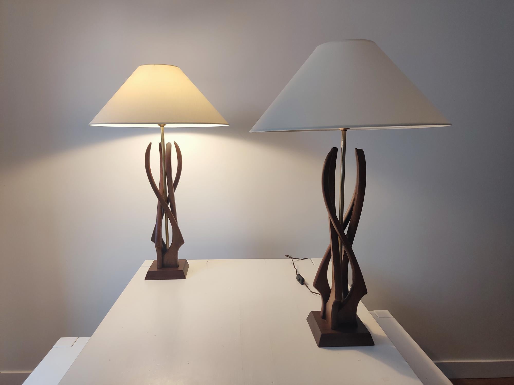 20th Century Organic american lamps - 1960s For Sale