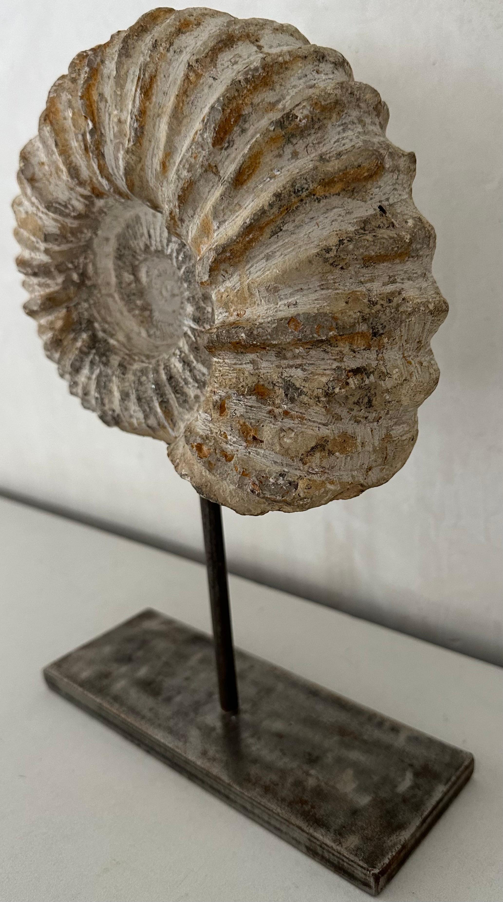 Precioso ejemplar de nautilus fosilizado mineral Ammonite tipo Albiano procedente de Marruecos en la Era Cretácica. El fósil se ha montado sobre una barra de hierro y una base plana, lo que lo convierte en una preciosa pieza escultórica de arte.
El