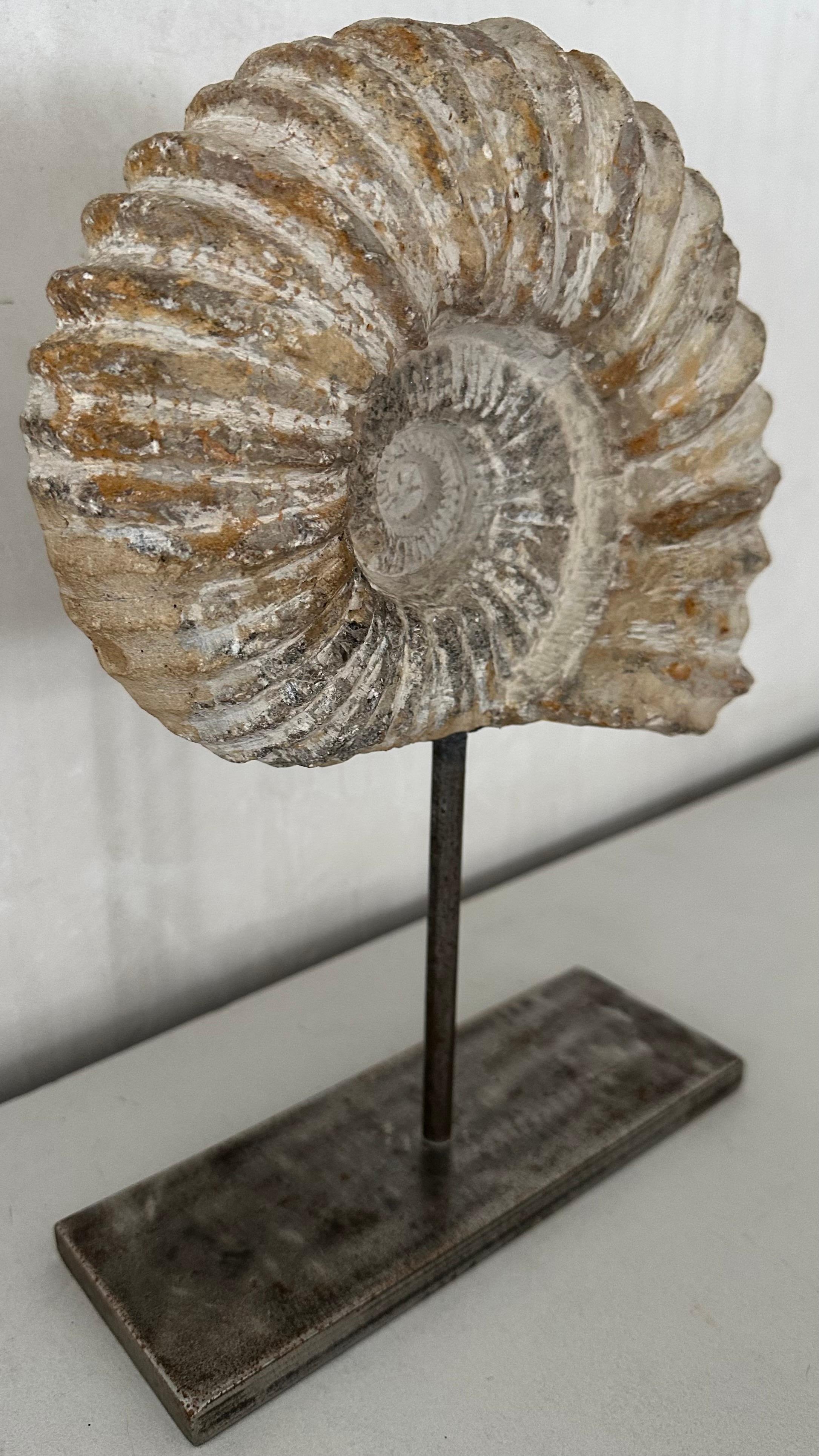 ammonite statue