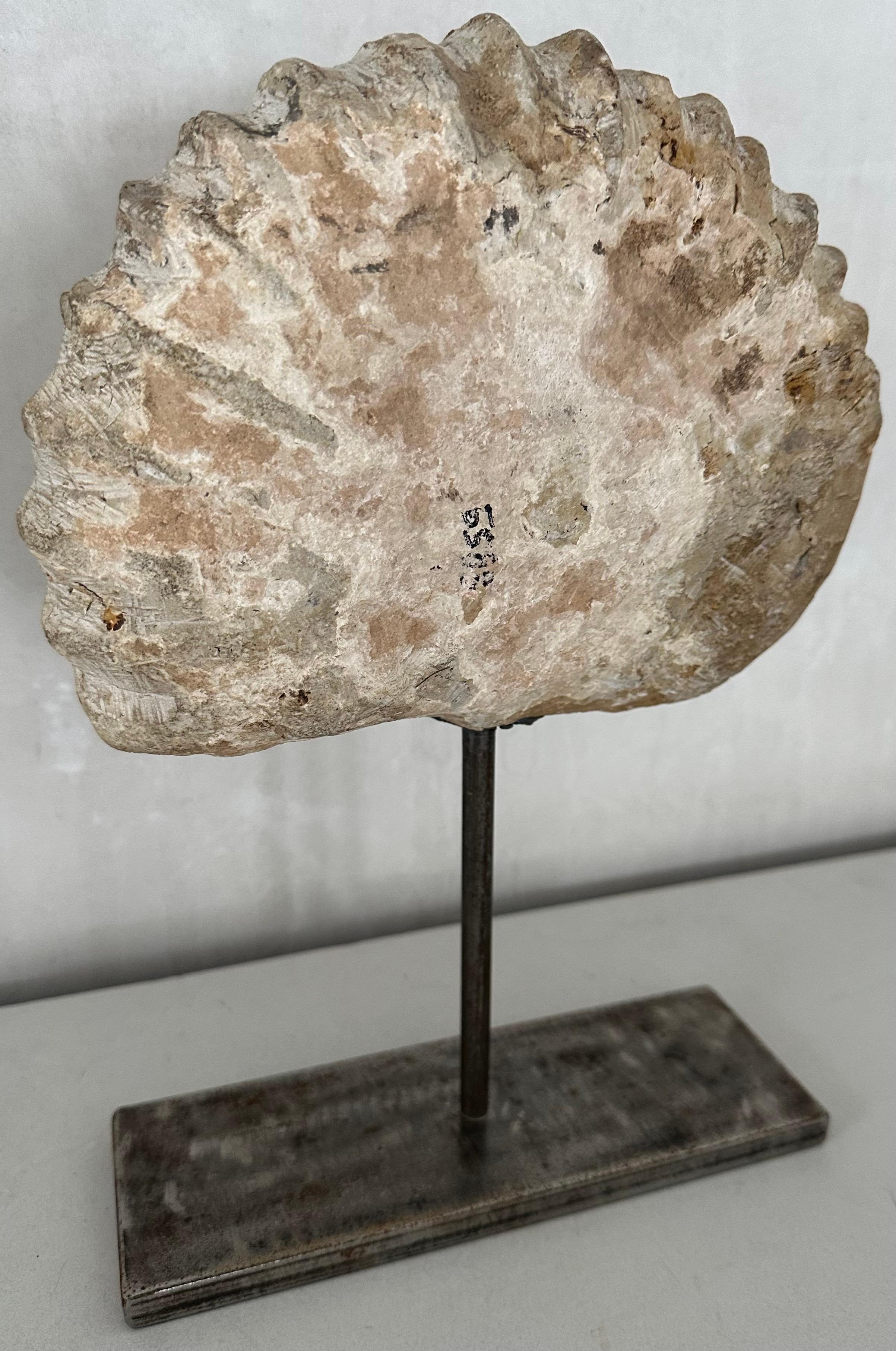 Organic Modern Organic Ammonite Nautilus Fossil Sculpture