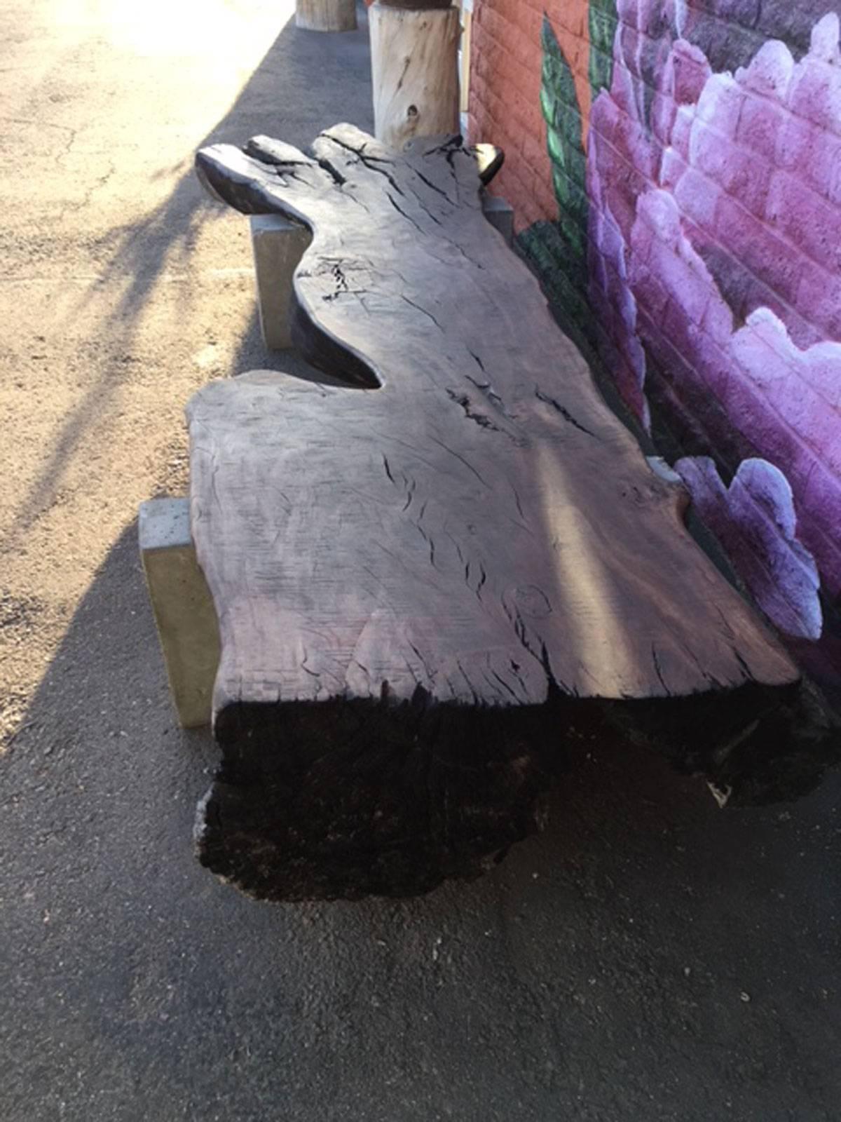Huge organic eucalyptus wood and concrete bench or seating platform designed, produced and made by master wood artist and designer Scott Mills who only uses reclaimed (deadfall or storm downed trees) in the pieces he designs and produces. This piece
