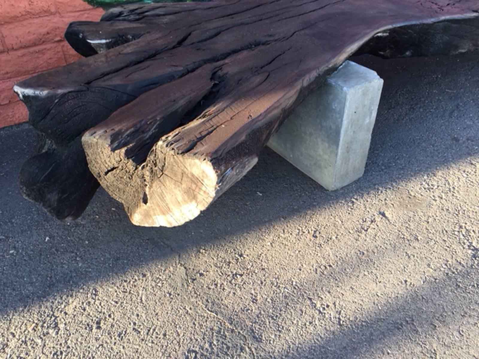 Organic and Concrete Bench In Excellent Condition For Sale In Phoenix, AZ