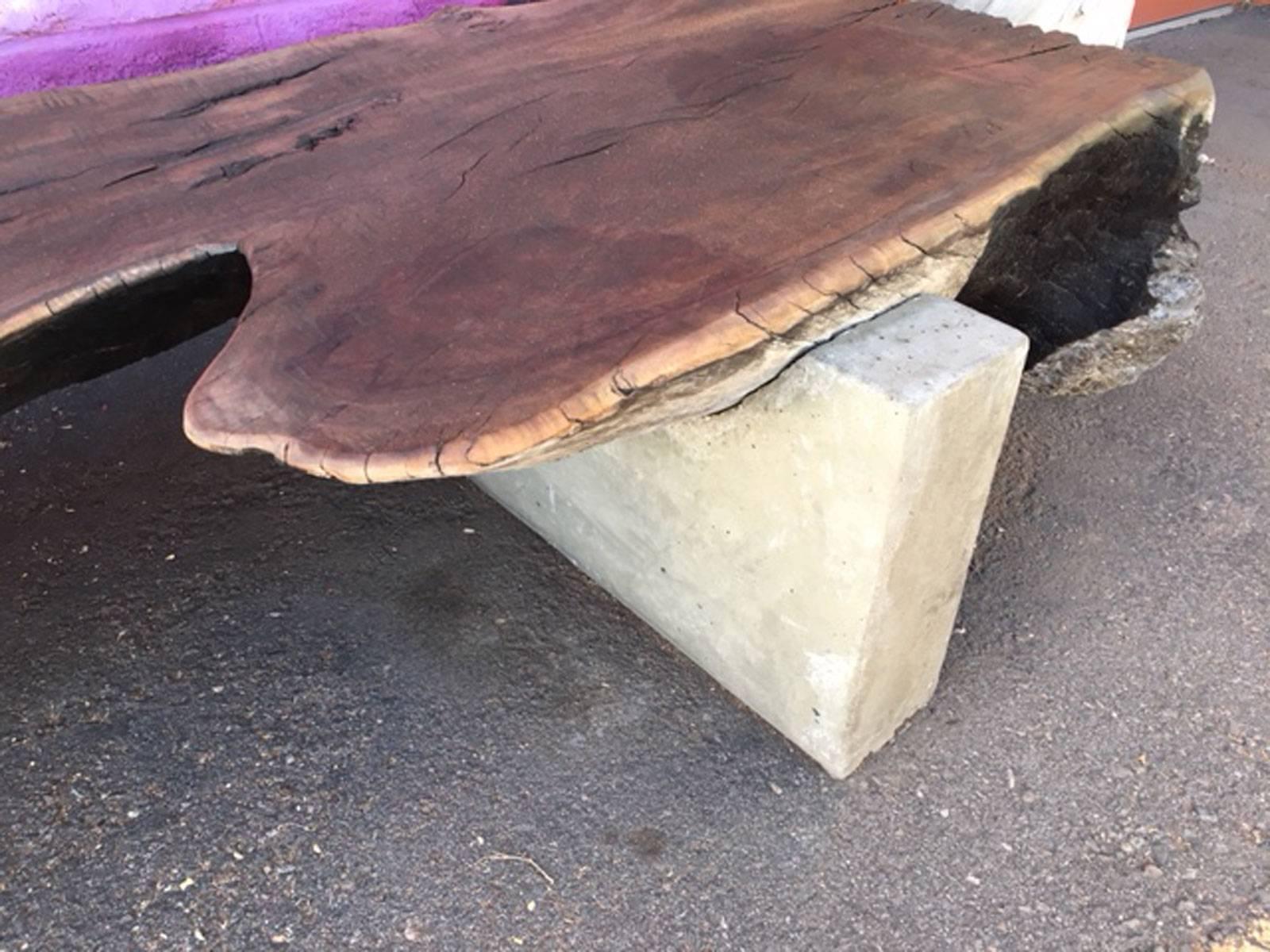 Contemporary Organic and Concrete Bench For Sale