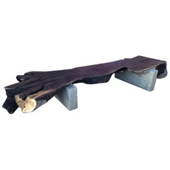 Organic and Concrete Bench