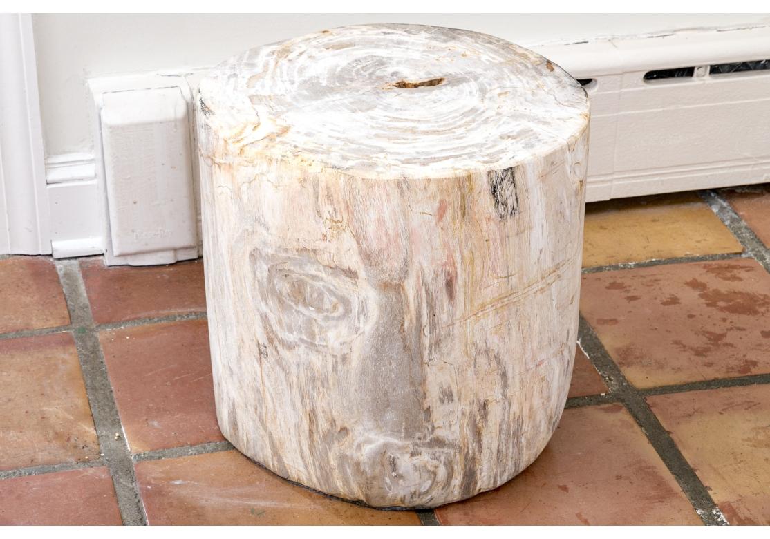 Trunk section in very solid Petrified Wood for use as a table or sculpture stand. Millions of years old, the coloration ranges from very light Parchment into Gray and Tan with plenty of intermixing and a notable age patina. 

Dimensions: 17.5”