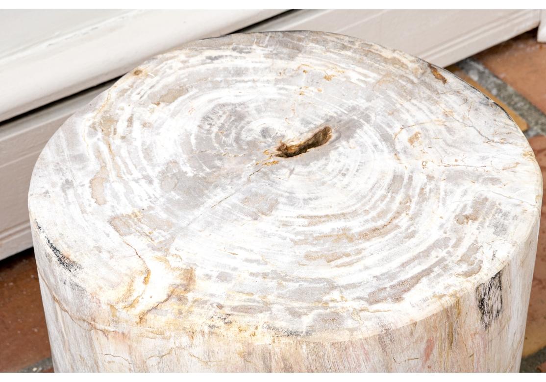 Organic Modern Organic And Natural Petrified Wood Table For Sale