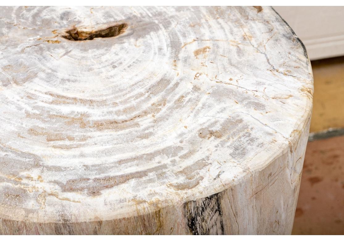 Unknown Organic And Natural Petrified Wood Table For Sale