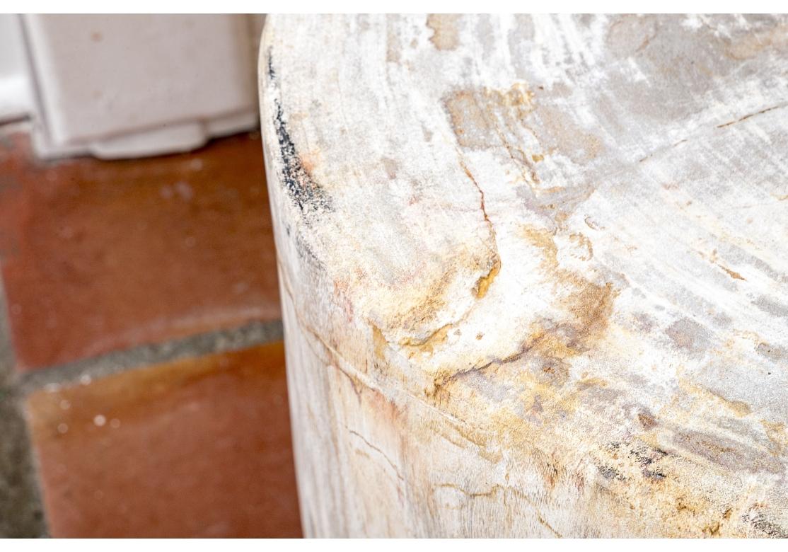 Organic And Natural Petrified Wood Table In Fair Condition For Sale In Bridgeport, CT