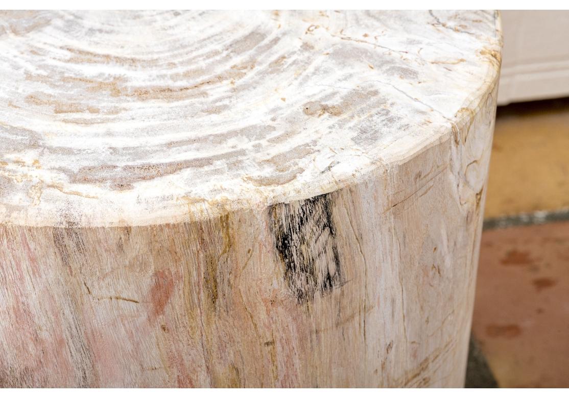 20th Century Organic And Natural Petrified Wood Table For Sale