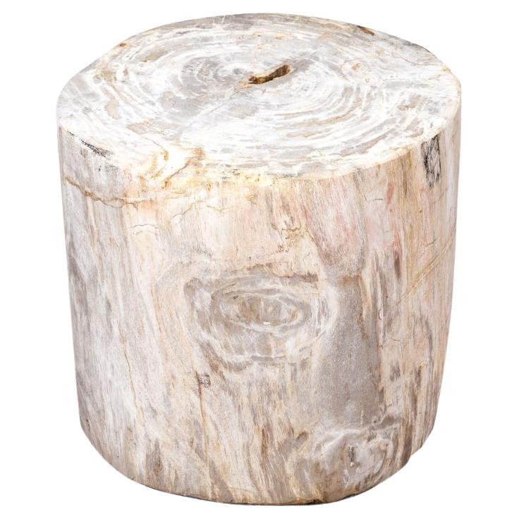 Organic And Natural Petrified Wood Table