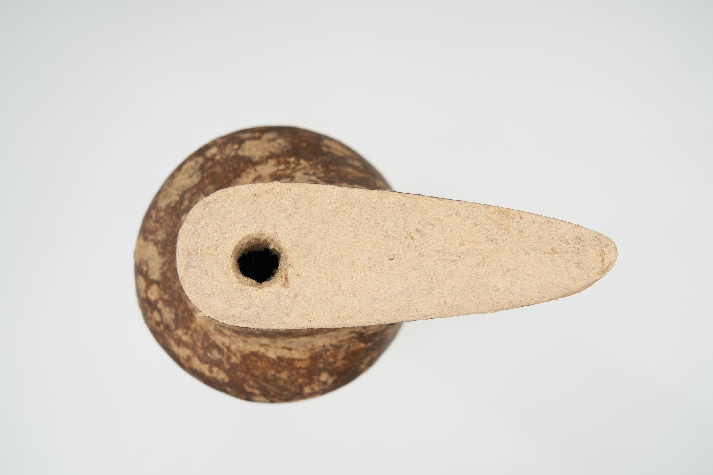XXI secolo e contemporaneo Vaso organico Anfora del designer brasiliano Domingos Tótora, piccolo con beccuccio in vendita
