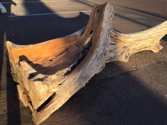 Organic Bench in Ash Wood