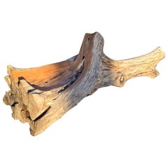 Organic Bench in Ash Wood