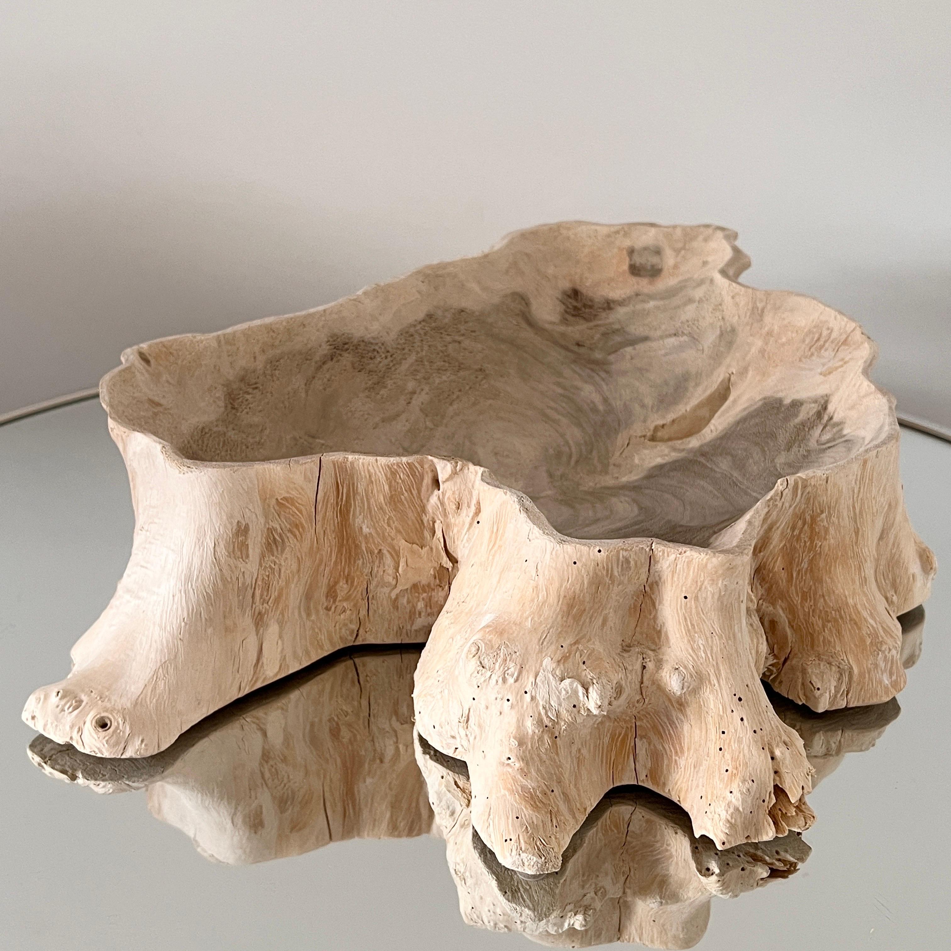 Organic Bleached Teak Root Wood Bowl with Live Edges, Indonesia 3