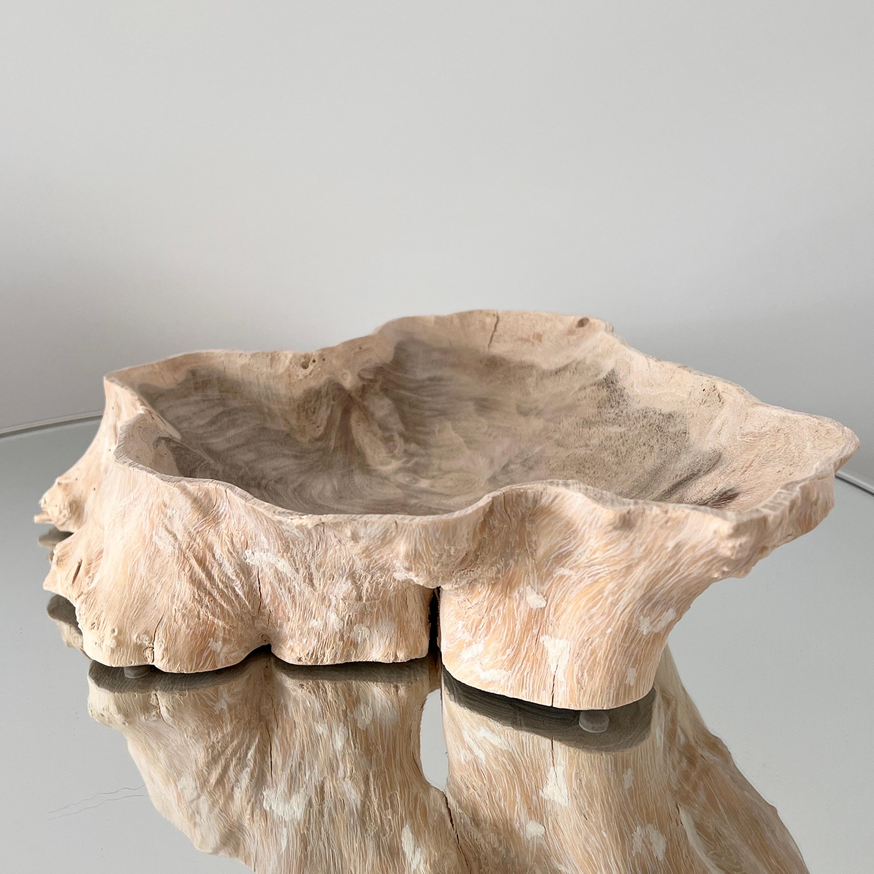 Balinese Organic Bleached Teak Root Wood Bowl with Live Edges, Indonesia