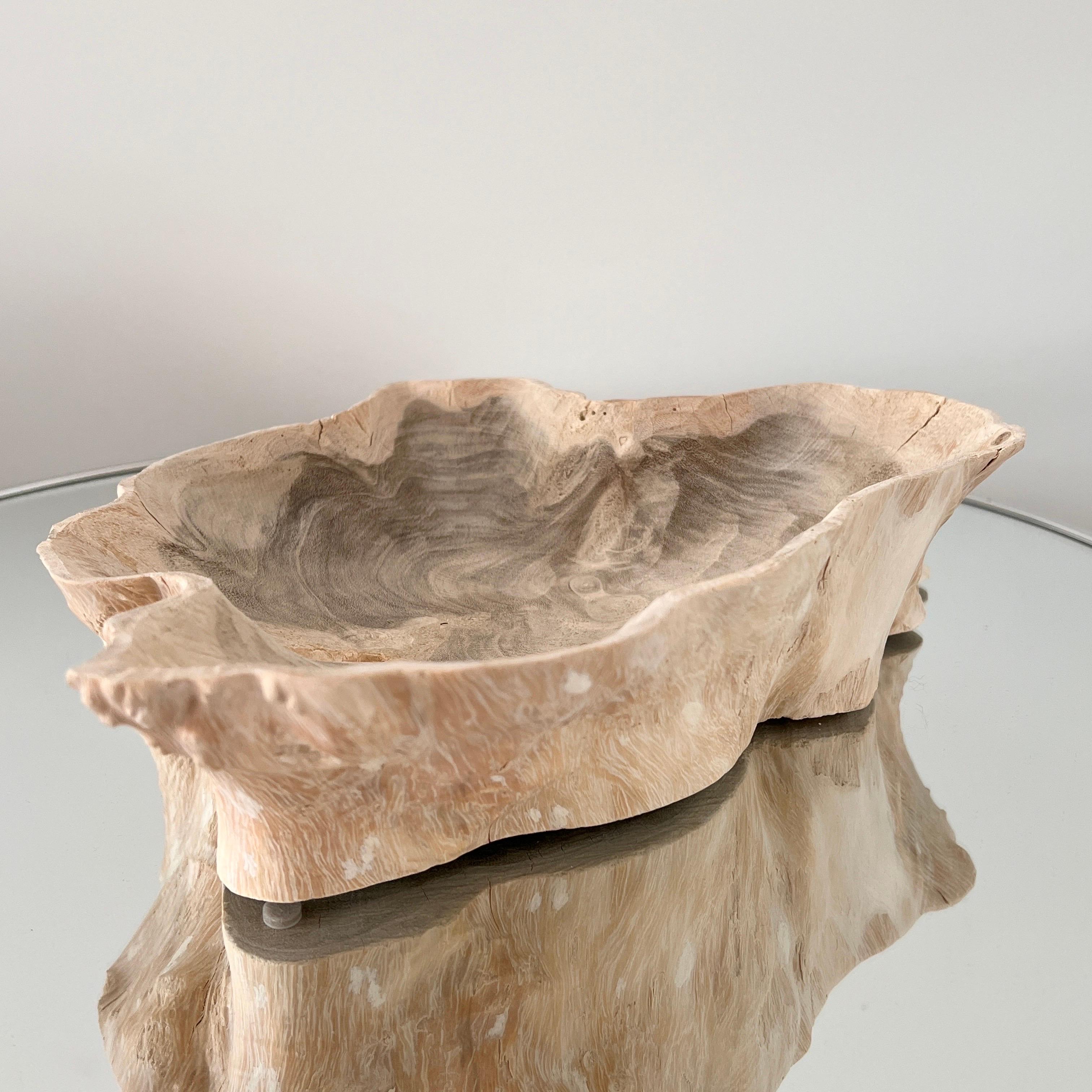 Contemporary Organic Bleached Teak Root Wood Bowl with Live Edges, Indonesia
