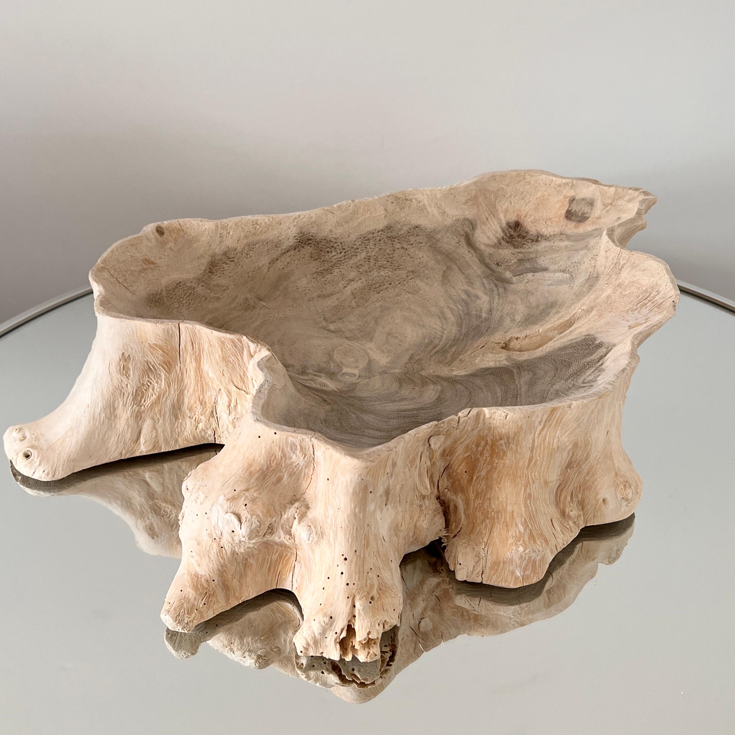 Organic Bleached Teak Root Wood Bowl with Live Edges, Indonesia 1