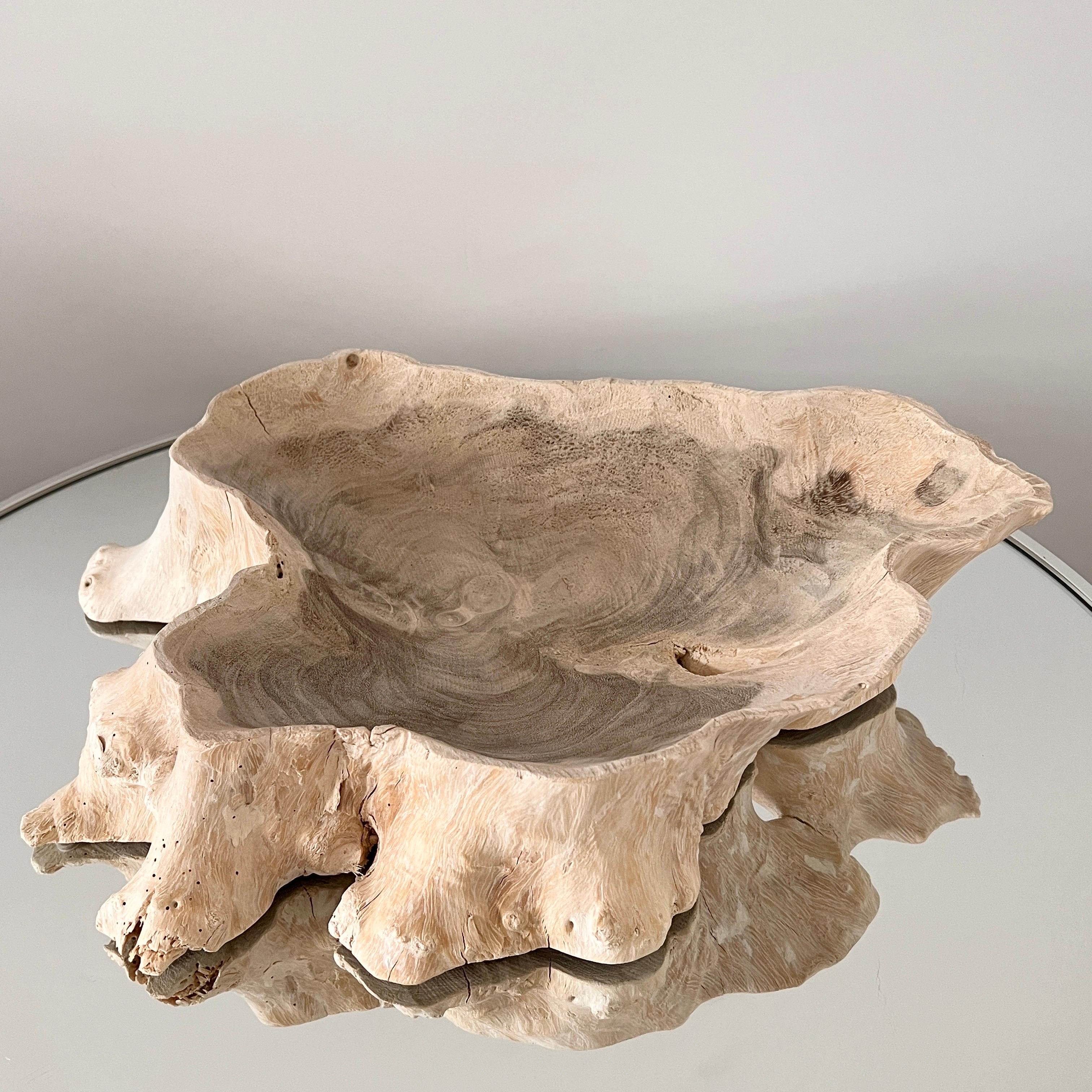 Organic Bleached Teak Root Wood Bowl with Live Edges, Indonesia 2