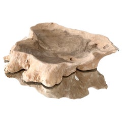 Organic Bleached Teak Root Wood Bowl with Live Edges, Indonesia