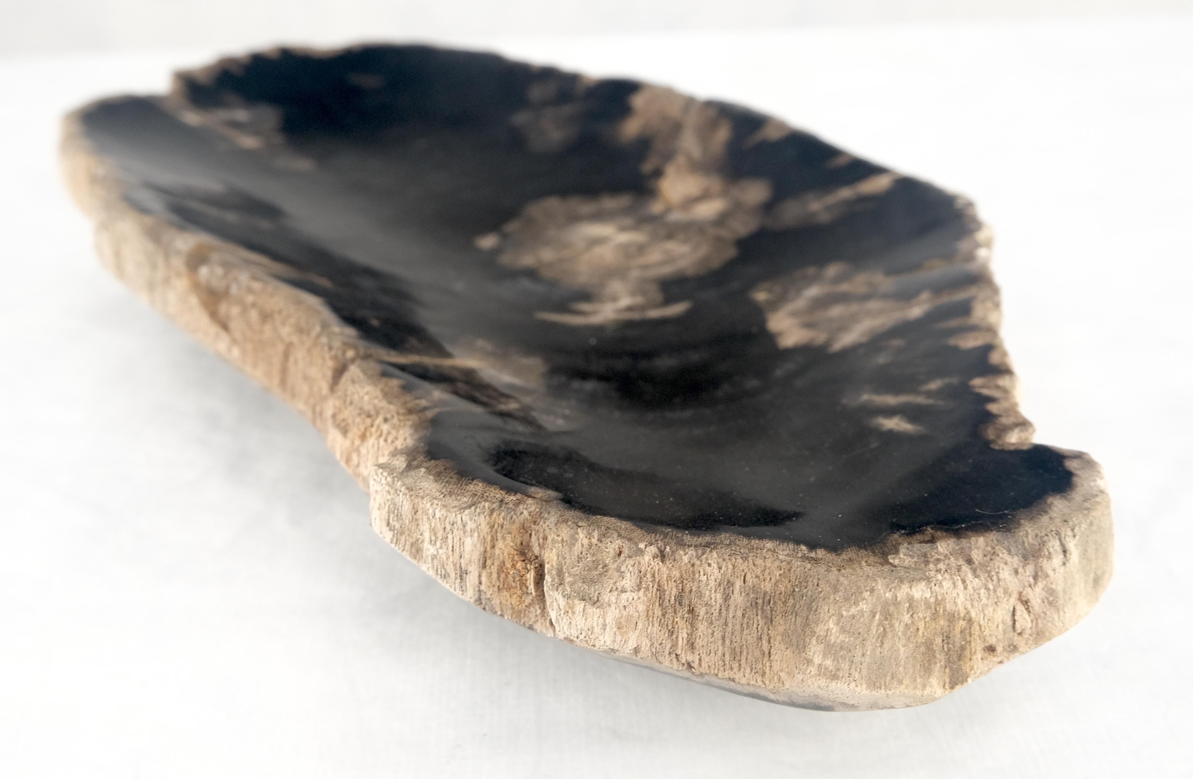 Organic Brain Shape Black & Tan Versteinertes Holz Tablett Schale Teller Aschenbecher im Angebot 1