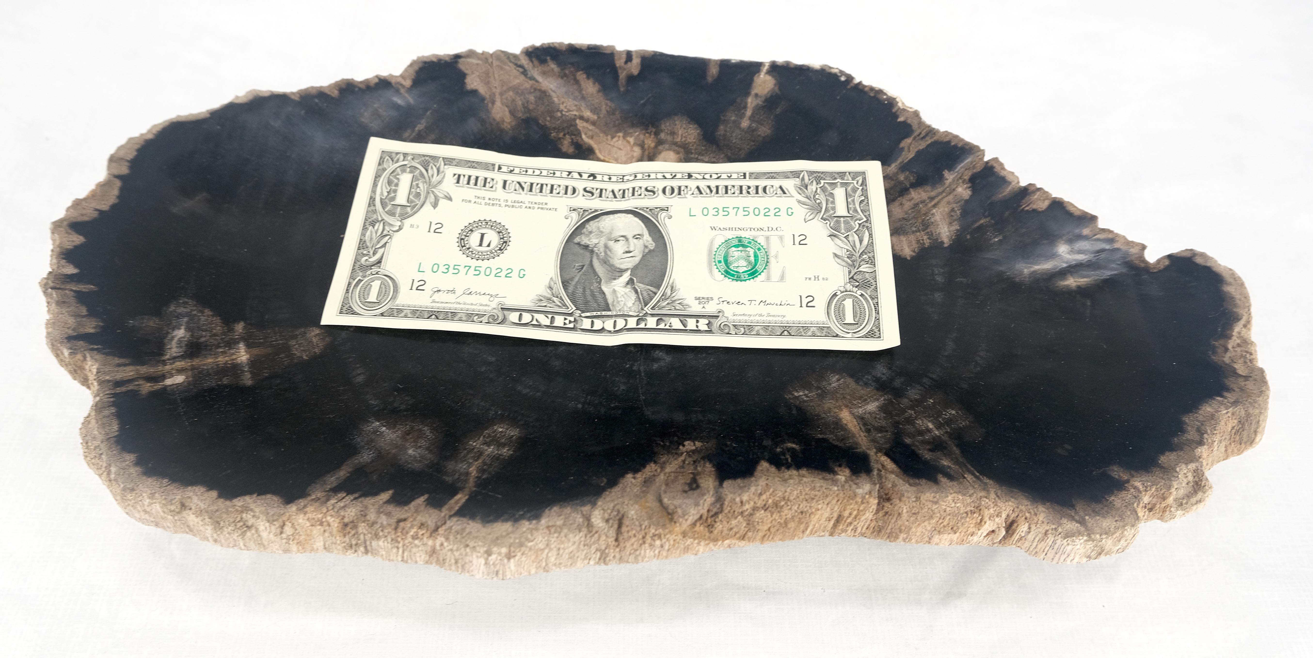 Organic Brain Shape Black & Tan Versteinertes Holz Tablett Schale Teller Aschenbecher im Angebot 4