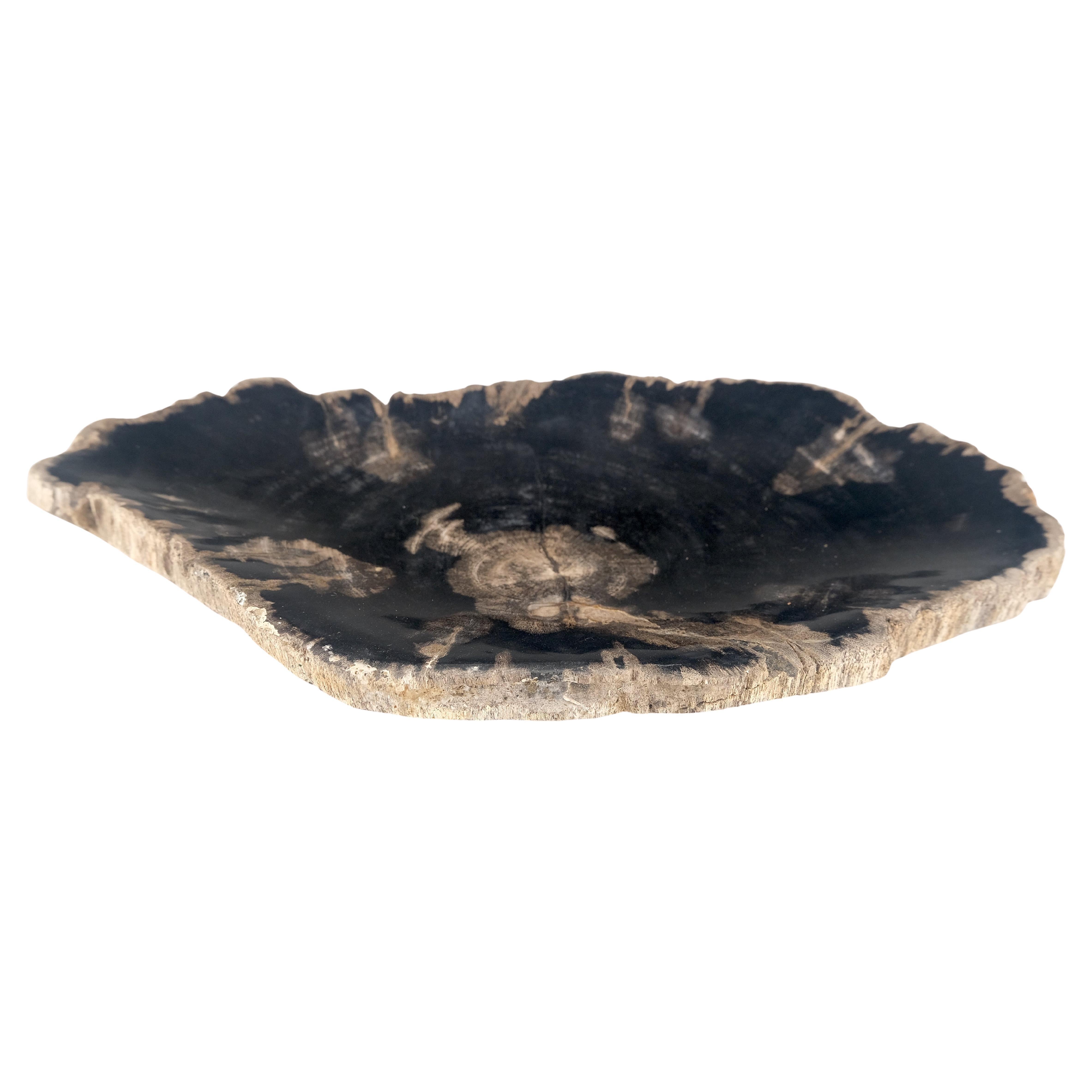 Cendrier en forme de cerveau en bois pétrifié noir et feu Cendrier en forme de bol en bois pétrifié noir et feu
