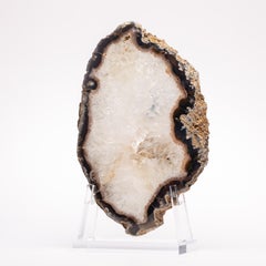 Organic Brazilian Shape Agate Slab on a Custom Acrylic Stand