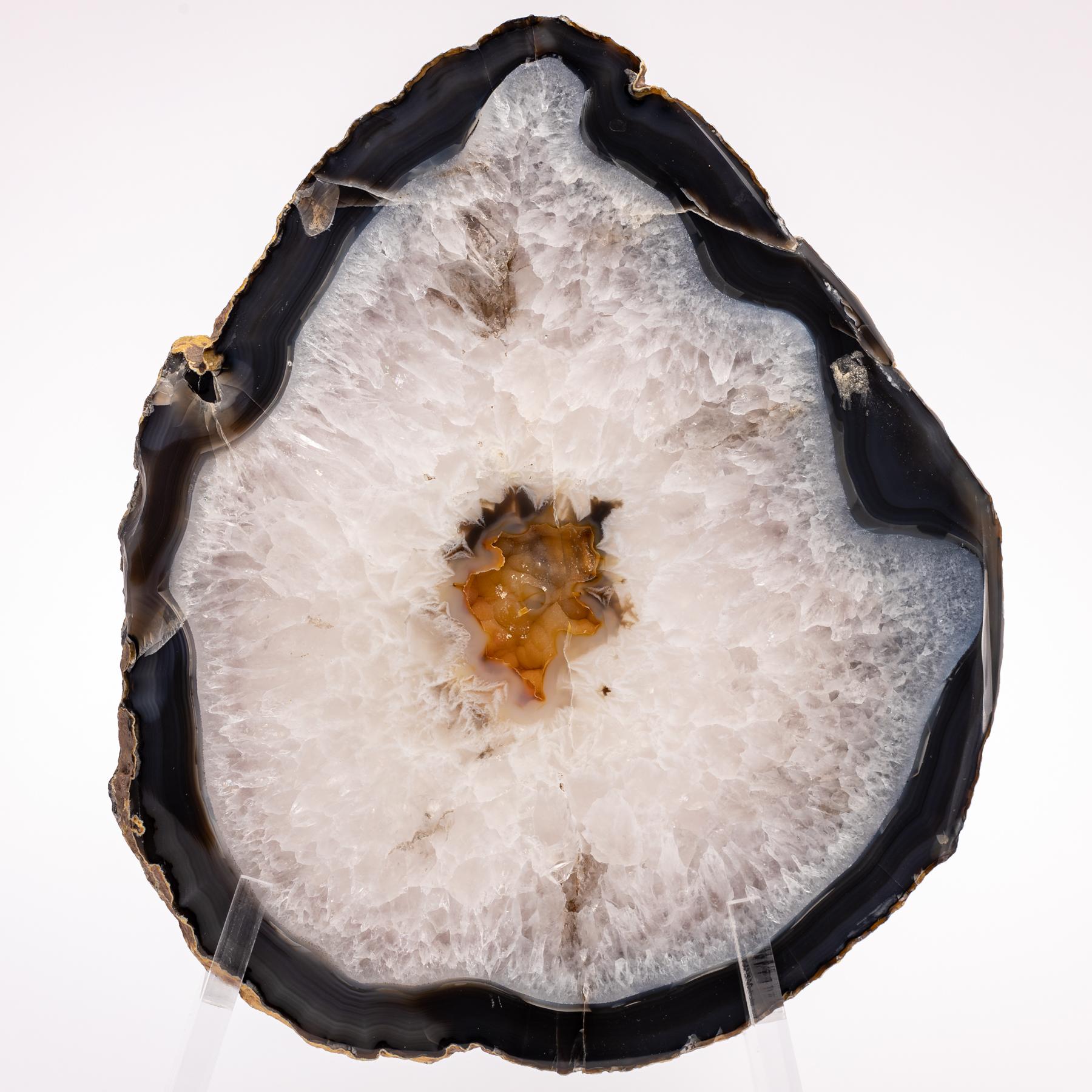 Organic Modern Organic Brazilian Shape Agate Slab on a Custom Acrylic Stand For Sale