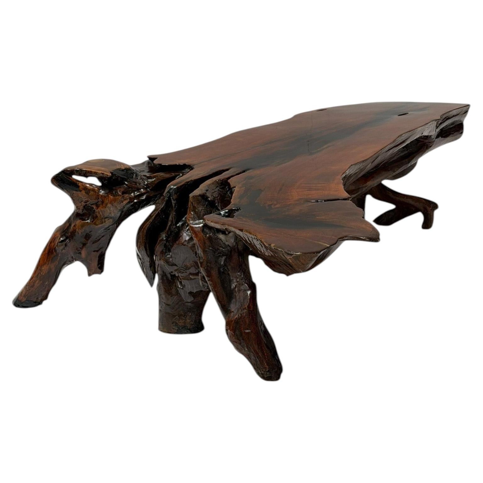 Organic Brutalist Large Tree Root Coffee Table, 1970s