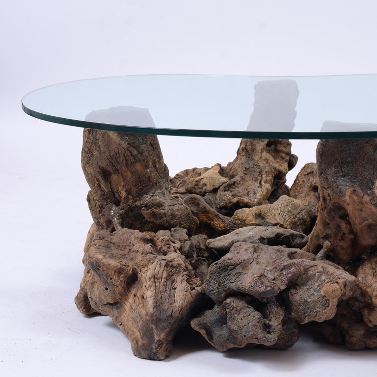Organic Burl Wood Freeform Coffee Table For Sale at 1stDibs