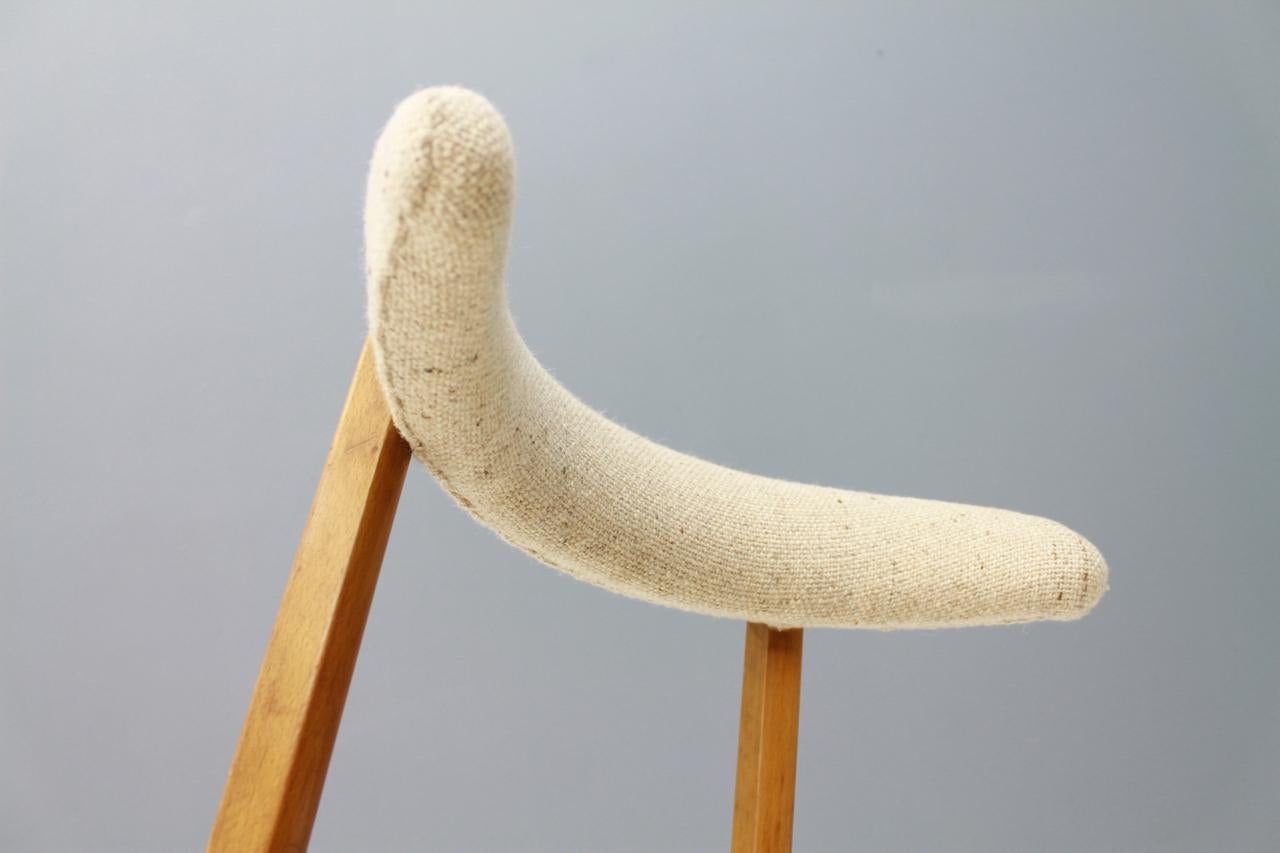 Mid-20th Century Organic Chair Cow Horn, Germany, 1950s For Sale