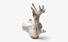 Organic Decorative Tree Root