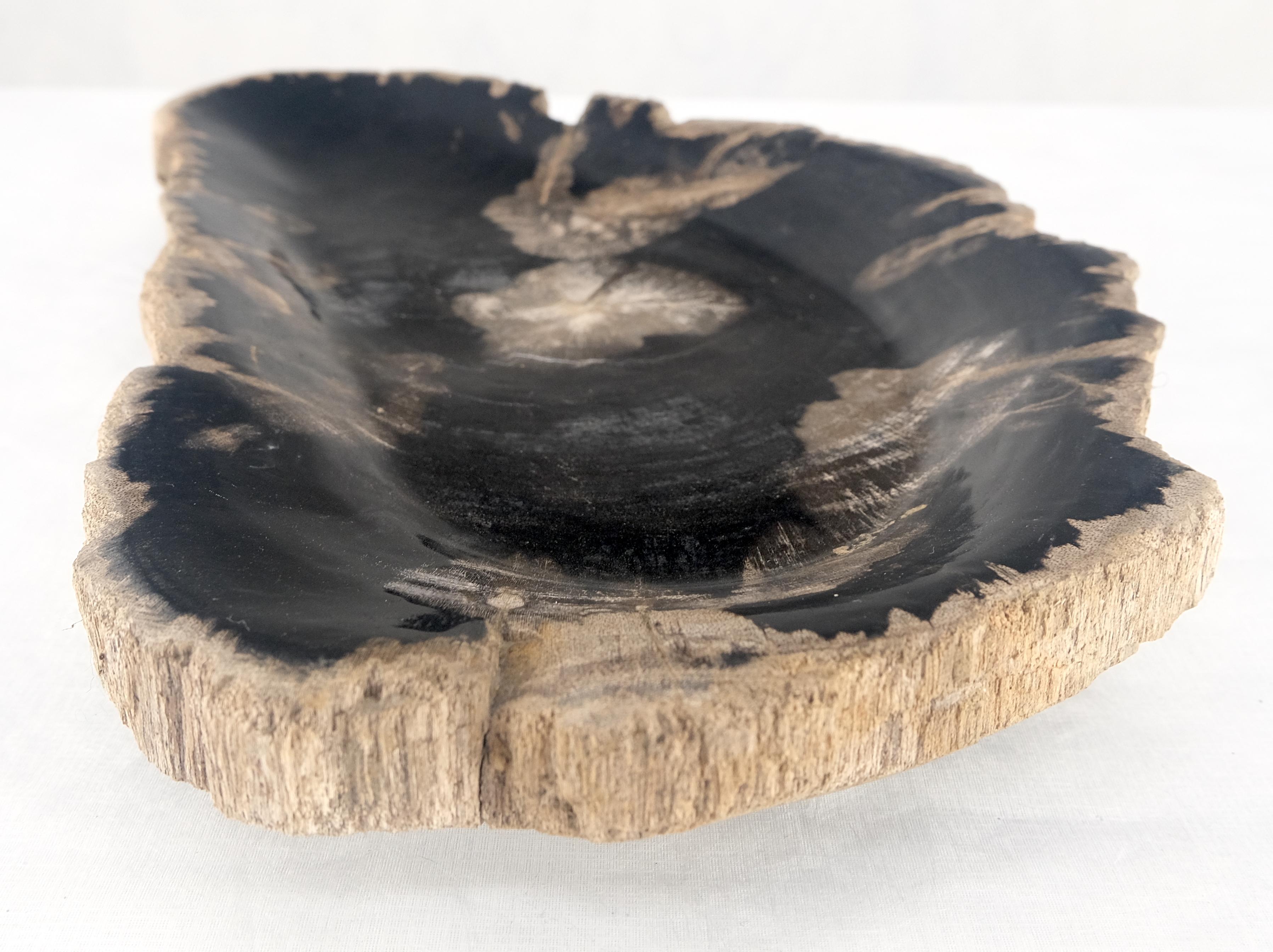 XXIe siècle et contemporain Cendrier en forme de demi-lune en bois pétrifié noir et tan Plateau à assiettes en bois pétrifié en vente