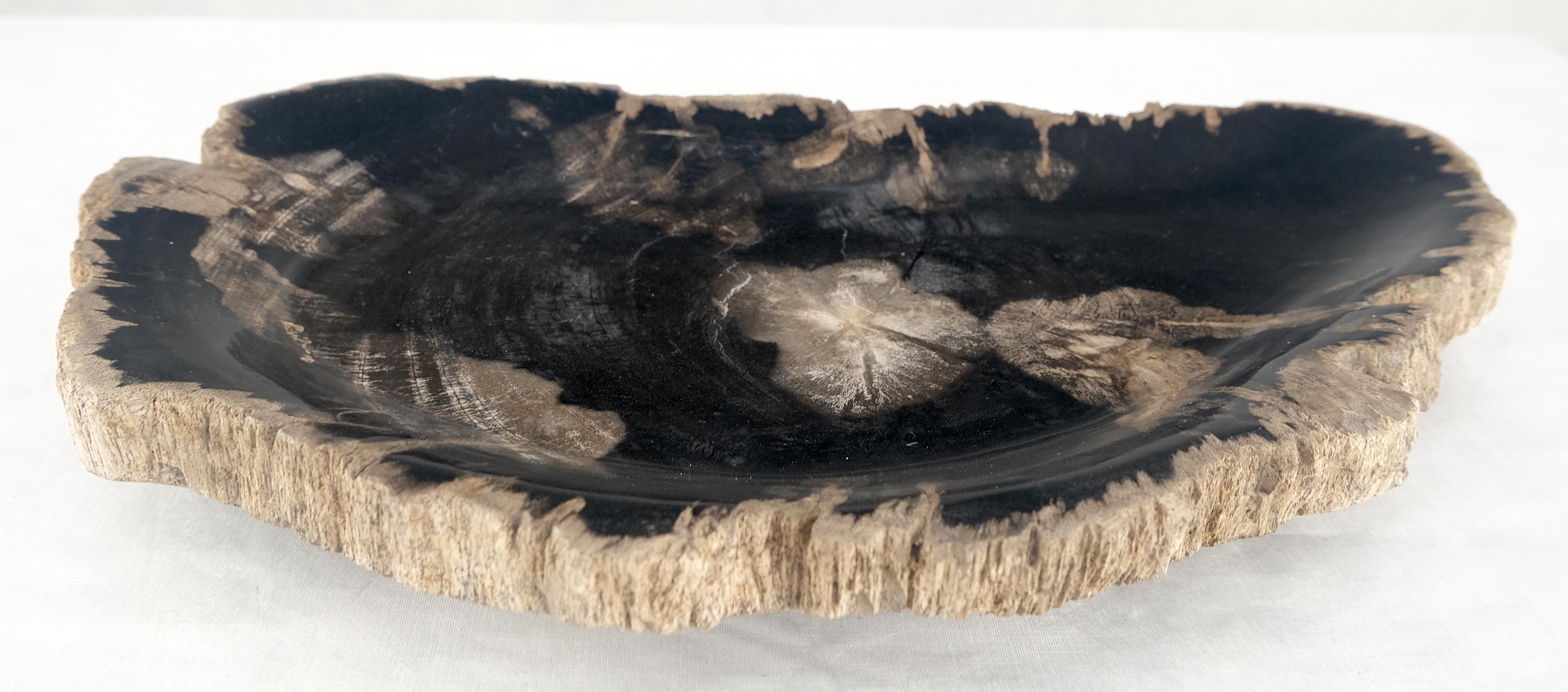 Bois fossilisé Cendrier en forme de demi-lune en bois pétrifié noir et tan Plateau à assiettes en bois pétrifié en vente