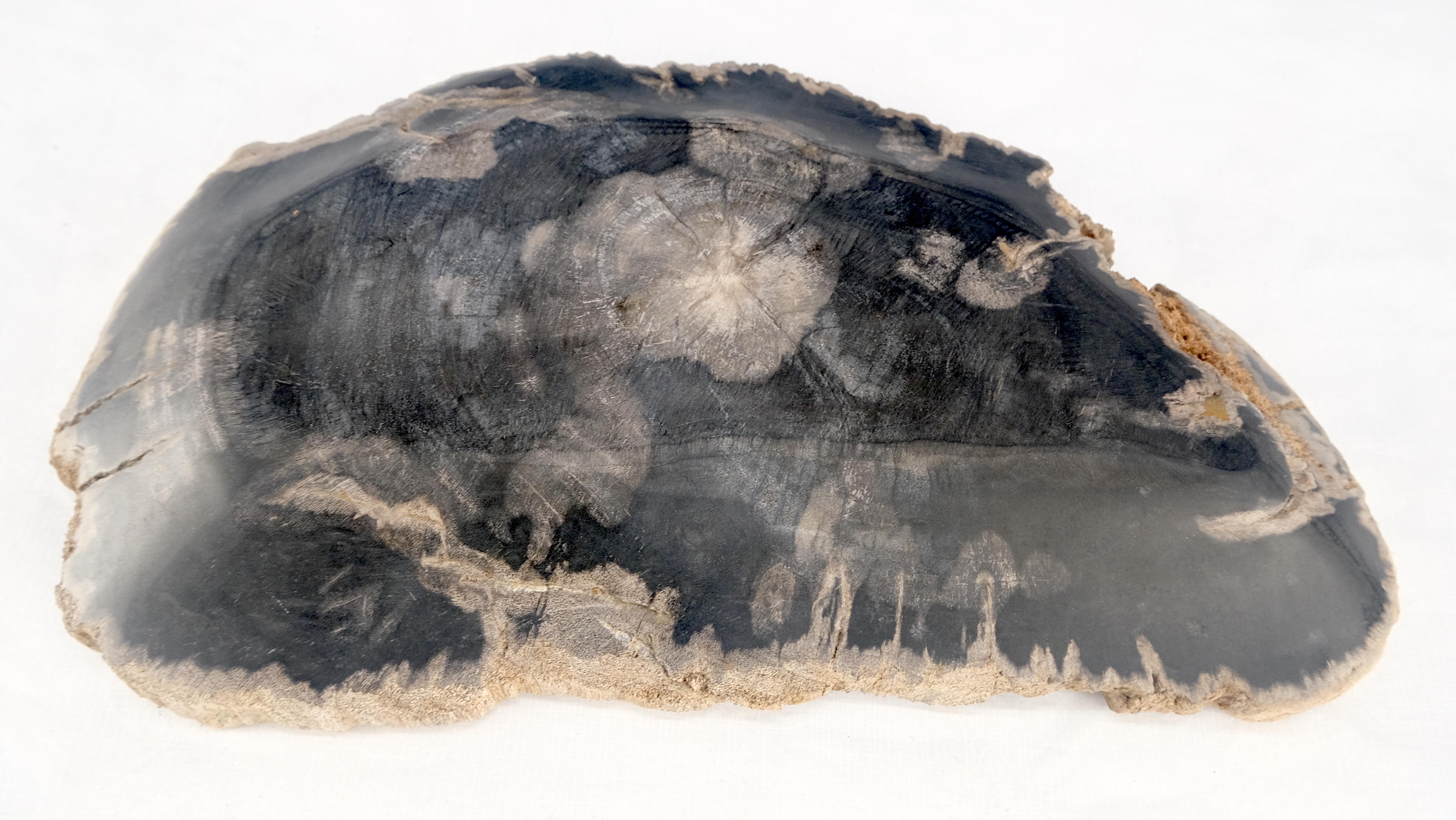 Cendrier en forme de demi-lune en bois pétrifié noir et tan Plateau à assiettes en bois pétrifié en vente 1