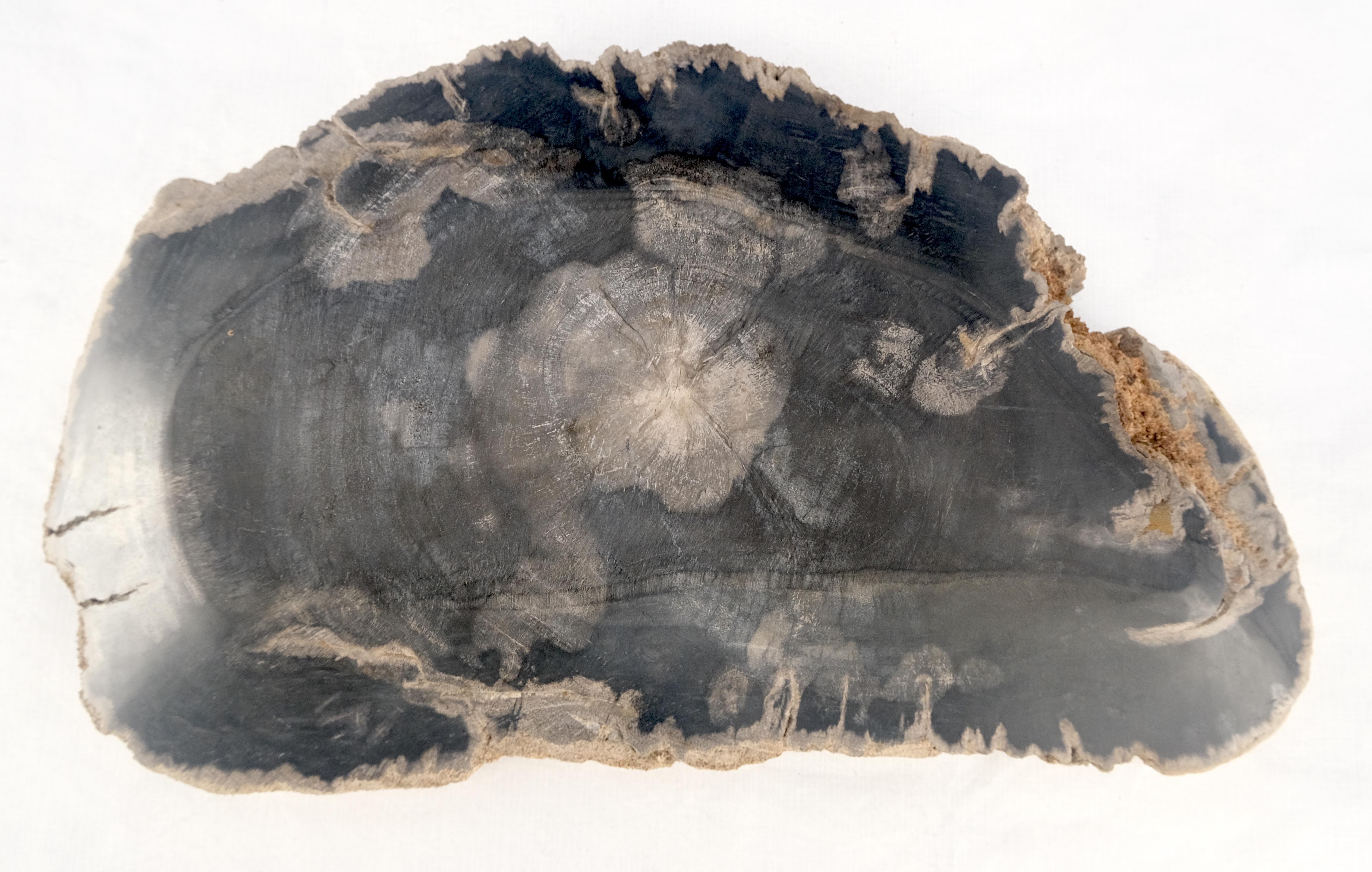 Cendrier en forme de demi-lune en bois pétrifié noir et tan Plateau à assiettes en bois pétrifié en vente 2