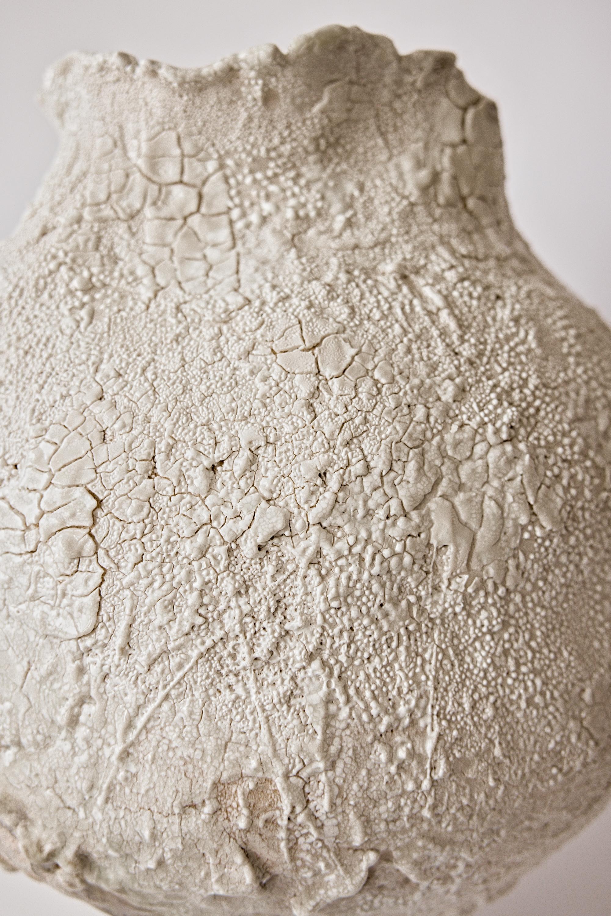 Vaso a forma libera Hand Made della serie Organic Drift in vendita 9