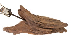 Organic Driftwood Table Lamp