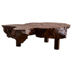 Organic Elm Root Coffee Table, France, 1960s