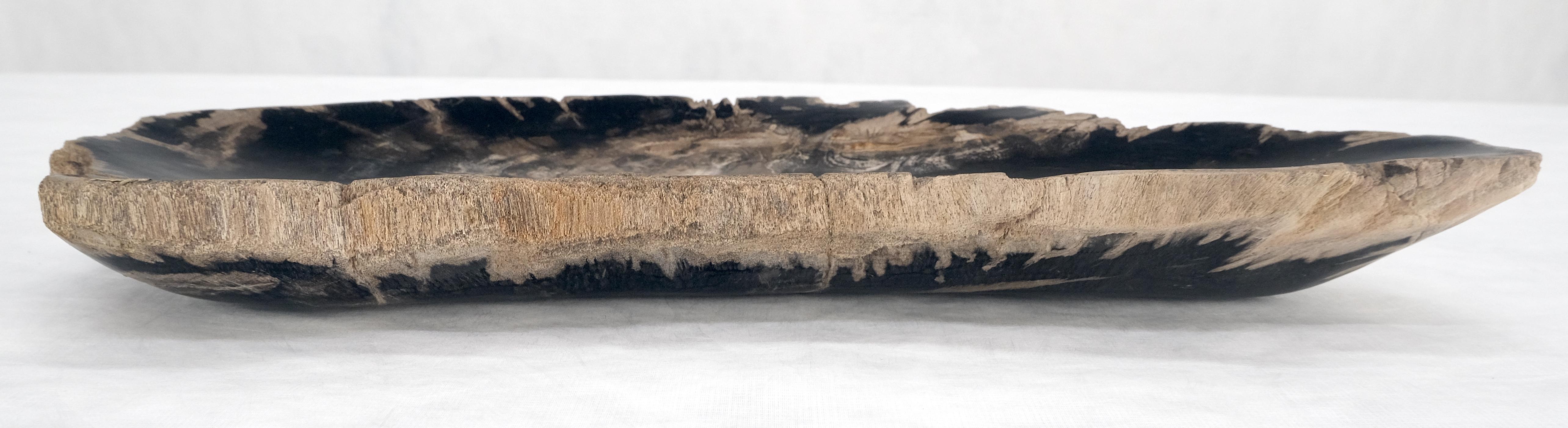 Organic Elongated Black & Tan Petrified Wood Tray Bawl Dish Plate Ashtray MINT