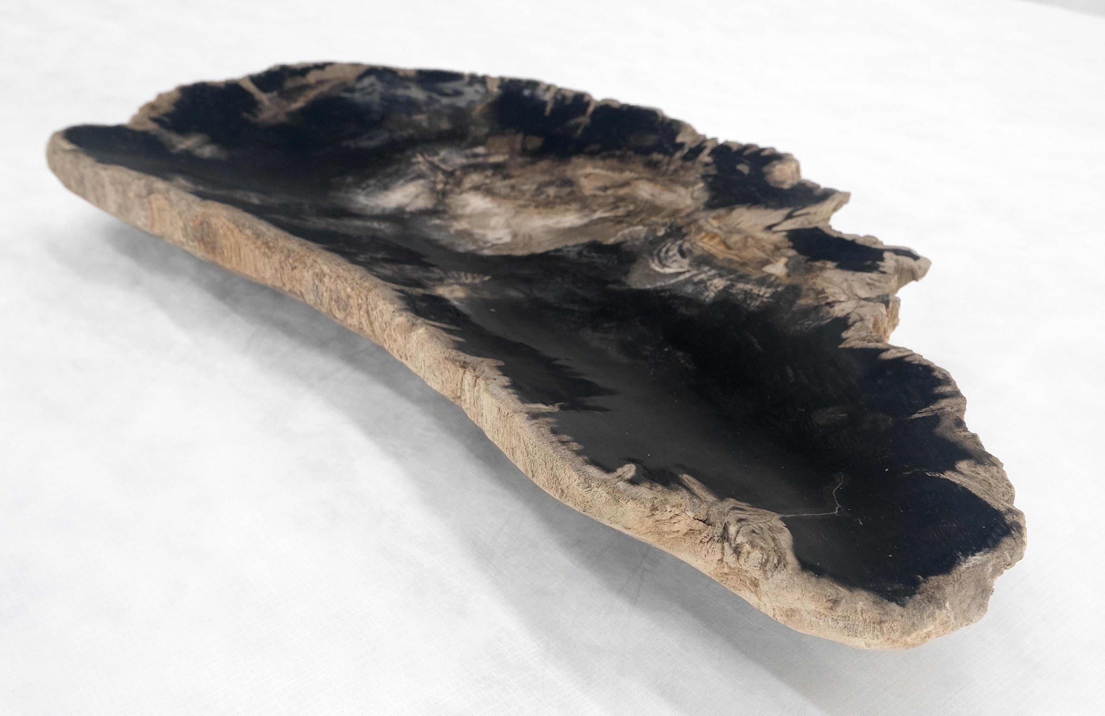 Mid-Century Modern Organic Elongated Black & Tan Petrified Wood Tray Bowl Dish Plate Ashtray MINT For Sale