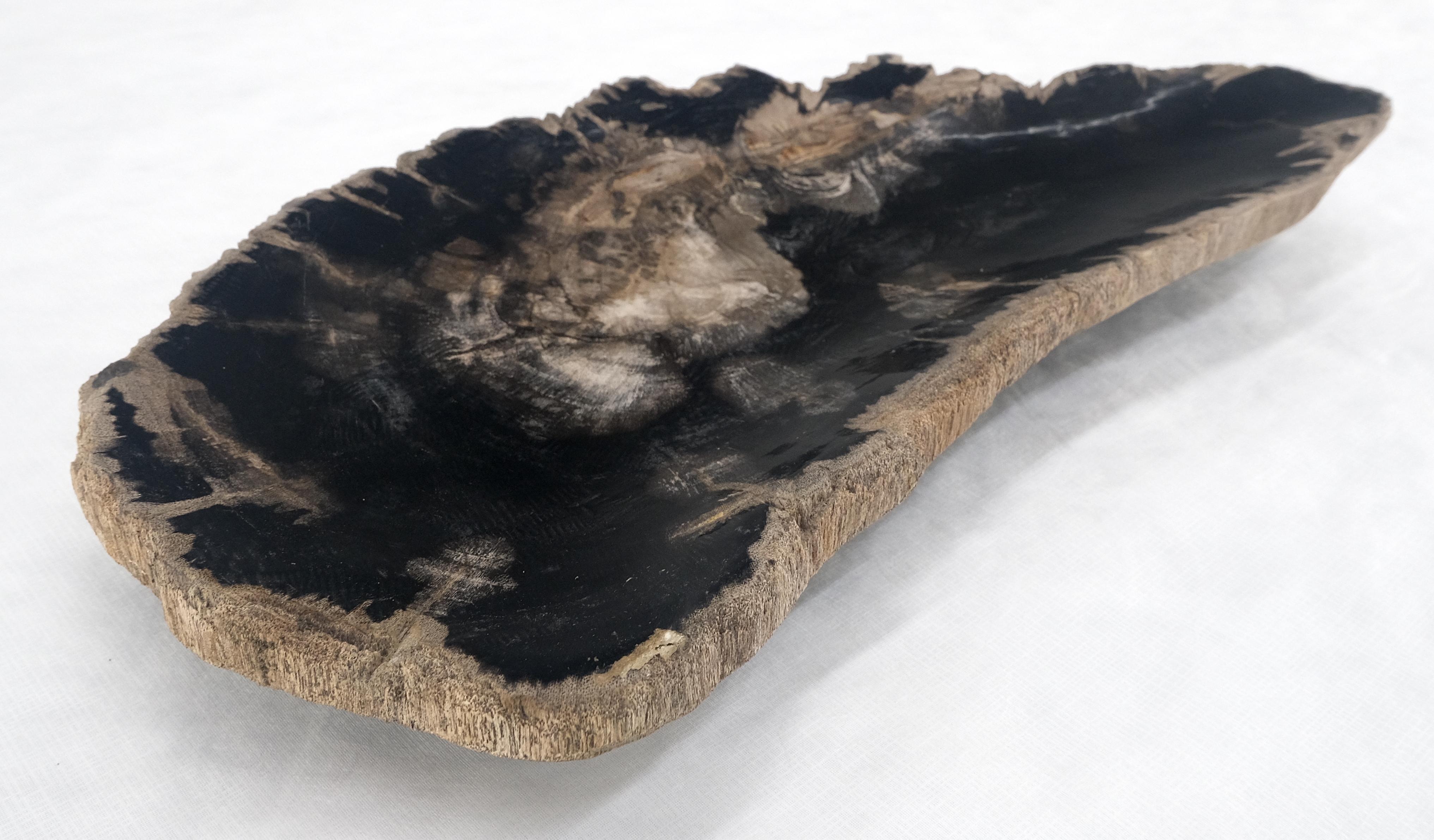 Indonesian Organic Elongated Black & Tan Petrified Wood Tray Bowl Dish Plate Ashtray MINT For Sale