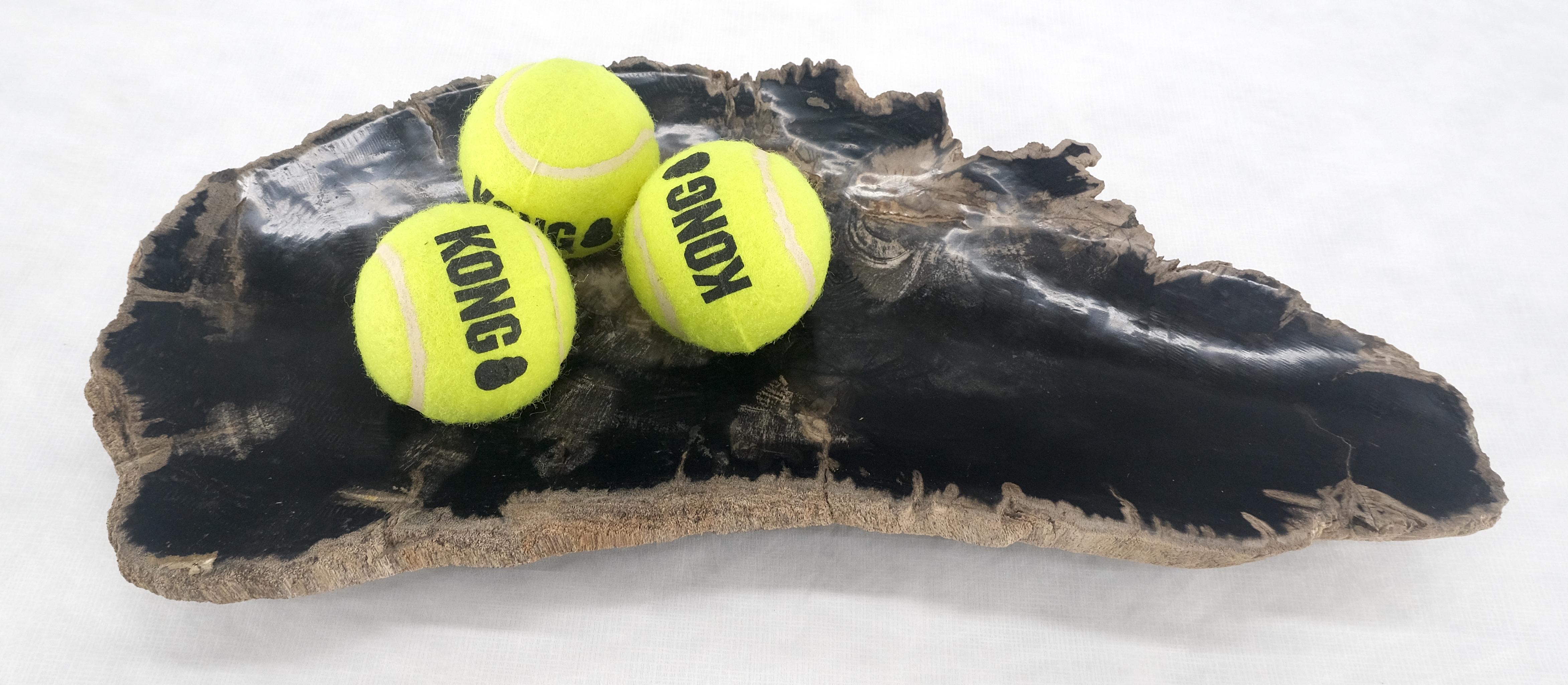 Organic Elongated Black & Tan Petrified Wood Tray Bowl Dish Plate Ashtray MINT In Excellent Condition For Sale In Rockaway, NJ