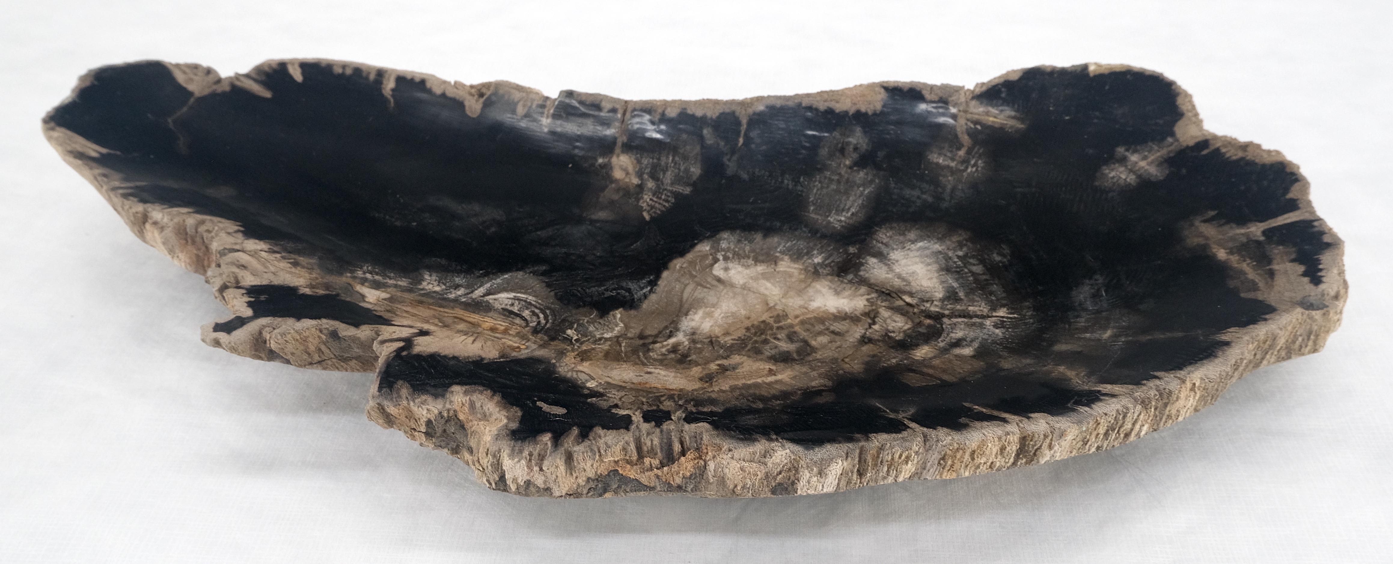 Contemporary Organic Elongated Black & Tan Petrified Wood Tray Bowl Dish Plate Ashtray MINT For Sale