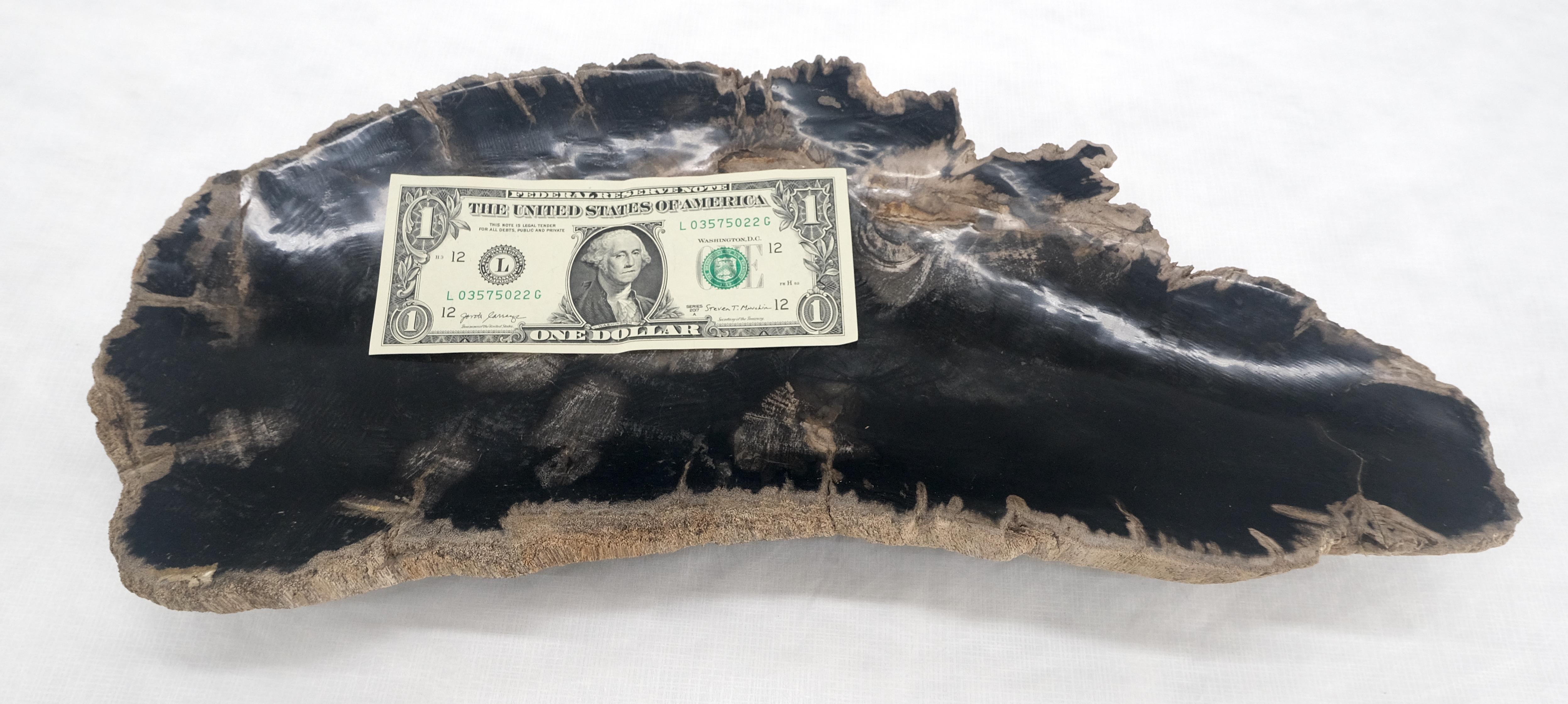 Organic Elongated Black & Tan Petrified Wood Tray Bowl Dish Plate Ashtray MINT For Sale 1