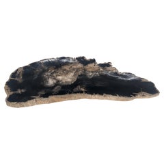 Organic Elongated Black & Tan Petrified Wood Tray Bowl Dish Plate Ashtray MINT
