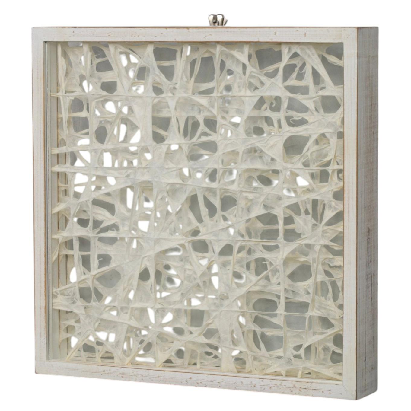 Organic Fiber Art Composition in Glass Shadow Box Frame, 1990s For Sale